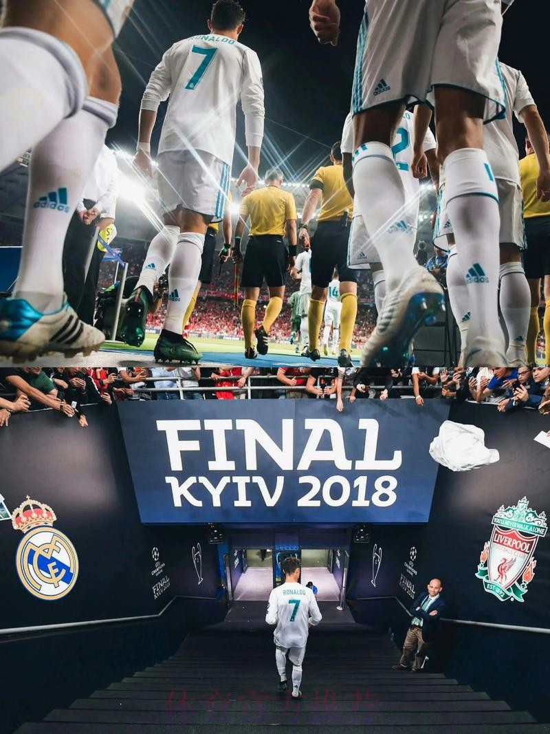 范尼-离开皇马是生涯最大错误 我总说C罗是最佳球员